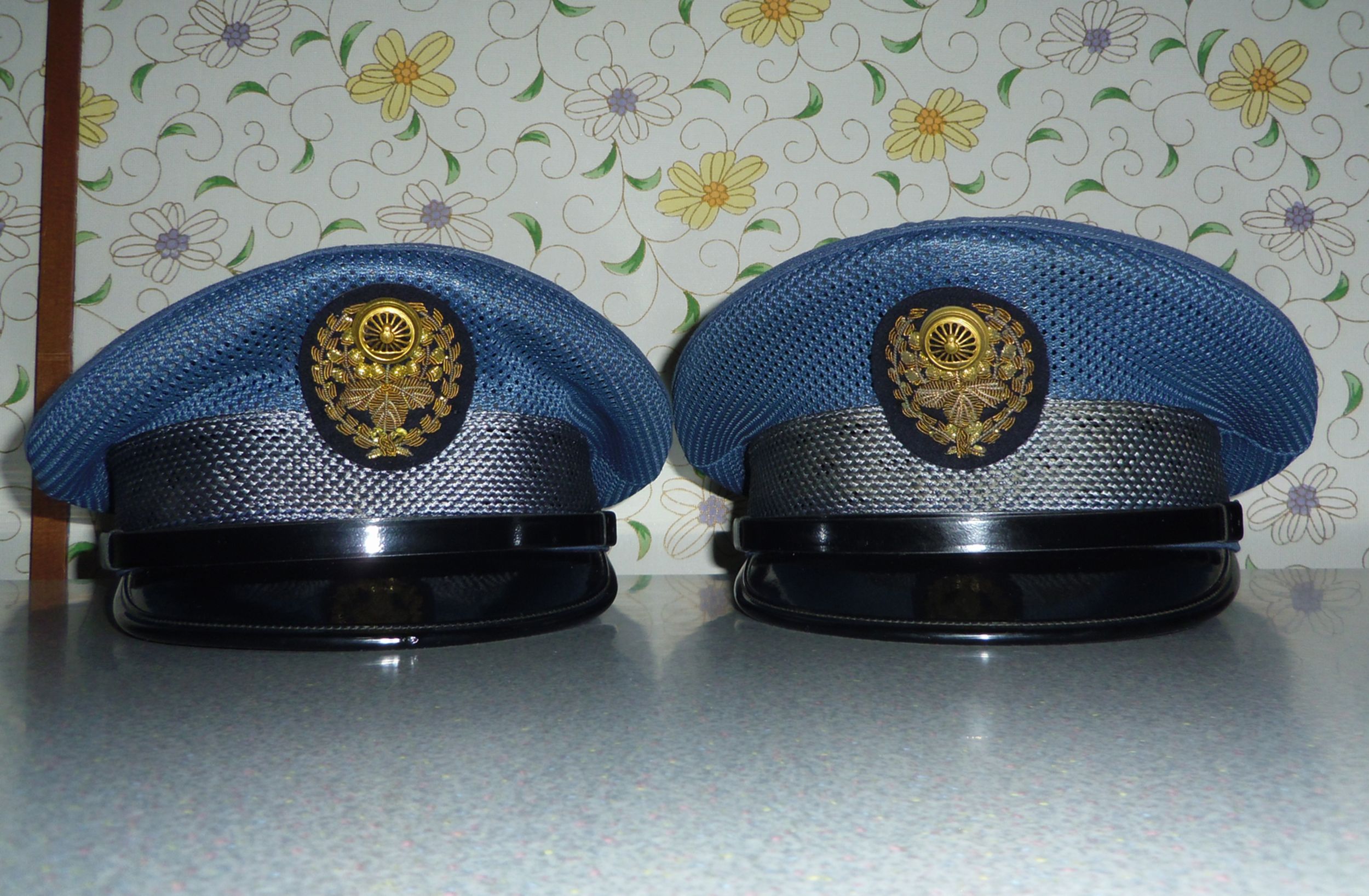 鉄道公安 - Search / X