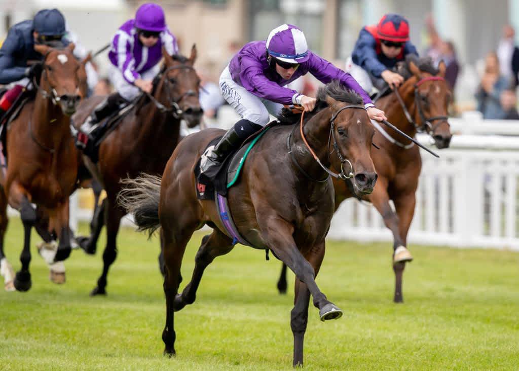 GerMc15's tweet image. Best of luck to Go 🐻 Go, @Rossaryan15 and @DaveLoughnane_ in the Phoenix Stakes today! 🙏🏼🤞🏼💪🏽🔥🐻
@RathbarryStud @curraghrace #KodiBear #sireon🔥 #speedmachine