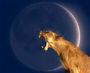 HopeReadsTarot's tweet photo. 🌑⭐️NEW MOON IN LEO♌️ !🌟🌑
There’s a fiery🔥, action-oriented New Moon on 8-8 at 9:49a ET/6:49a CT. New Moons mark the darkest nighttime sky when the stars✨ shine the brightest. It’s a time🕘 (12-72 hrs) for setting new intentions after releasing past baggage. #newmoon🌚 #leo🦁 https://t.co/sWIhSM6sfK
