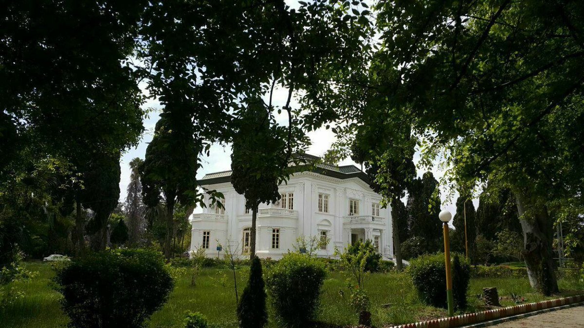 ممدترین tweet media