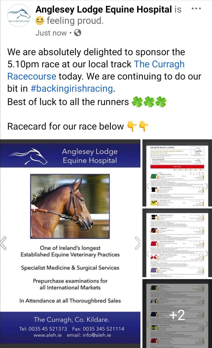 Anglesey Lodge Equine Hospital tweet media