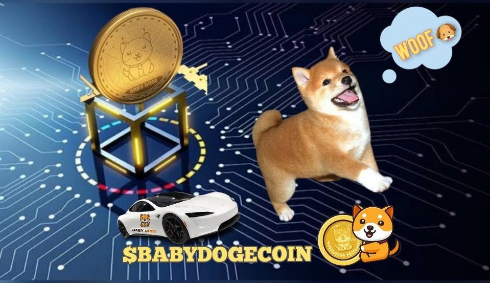 newtokenmarket's tweet photo. #BabyDogeCoin doo doo doo !! https://t.co/PE4YIWtsst