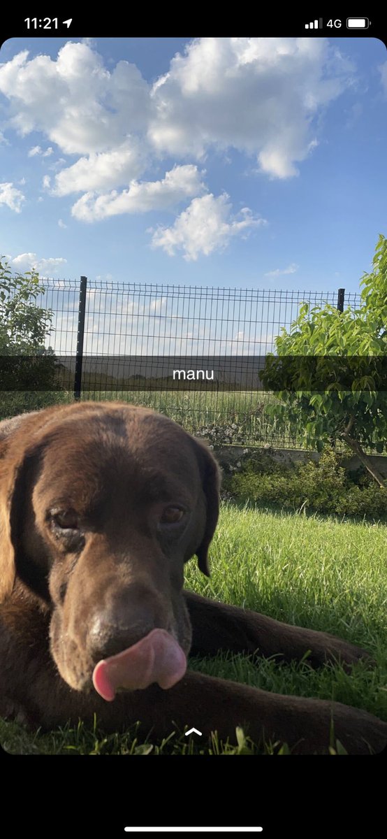 Le FCR te souhaite un bon voyage.
A jamais dans nos cœurs. 
Salut mon pote.