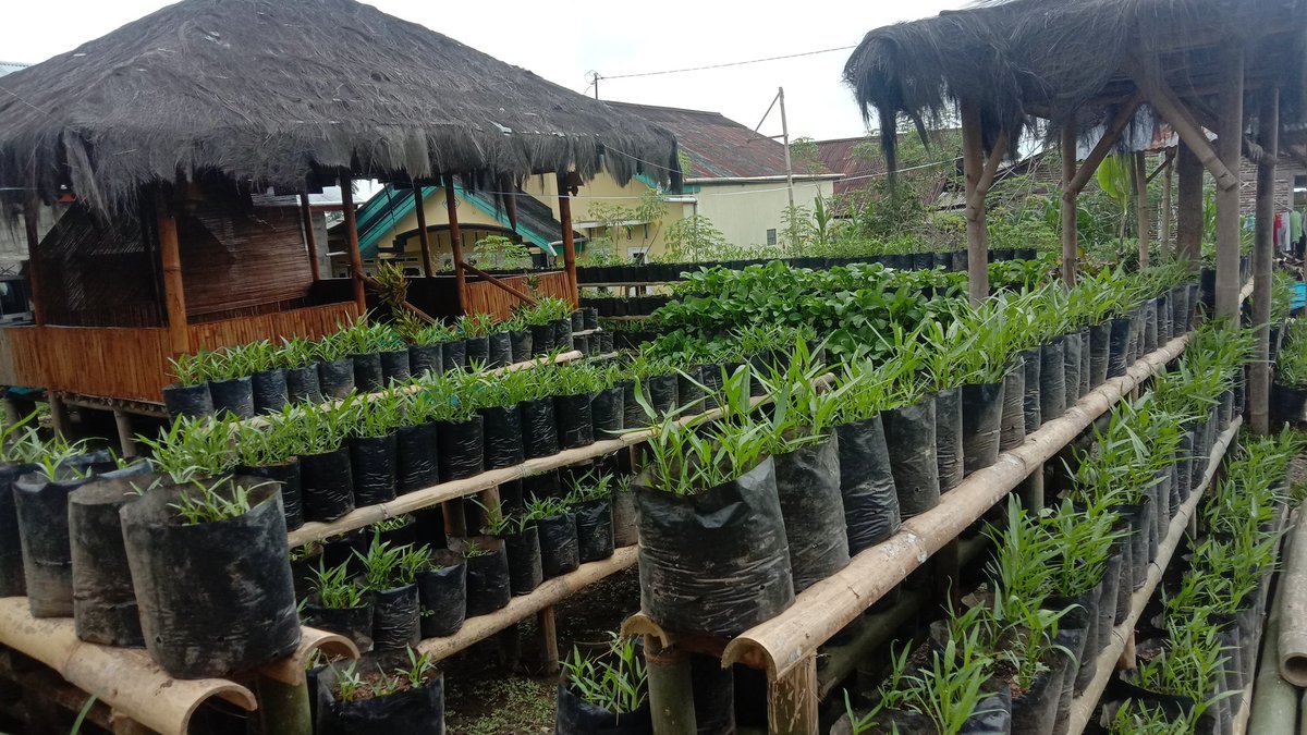DBlederan's tweet photo. panen sayur organik https://t.co/cj0oL7E7JX