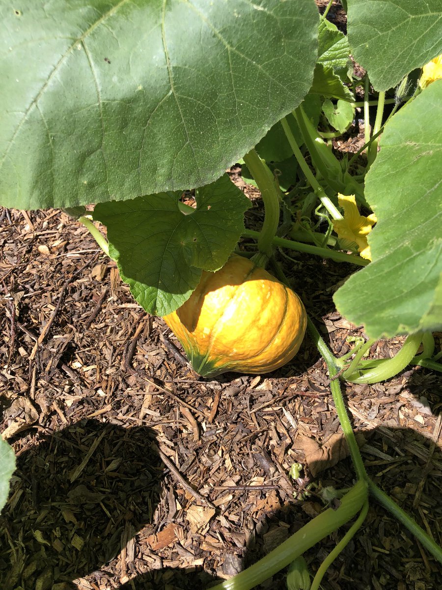 Bina Briggs tweet media