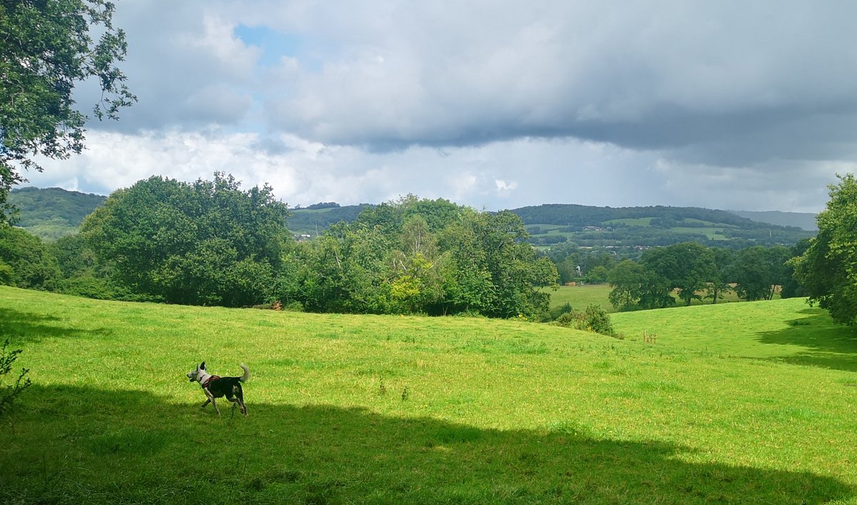 Lovely 5 mile walk with my son and his Sprollie in the #countryside round Godstone this weekend. Managed to dodge the downpours. Love our #dadandson time together. Learning how to be a #Father of a grown man. 😊
