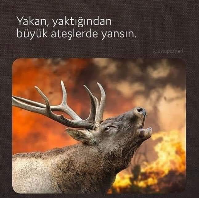 Muhalefetin derdi ormani yakanla degil, söndürmeye çalışanla.. 
Yaziklar olsun sizin gibi muhalefete ve açılan bu hashtage #tayyiperdoganistifa

Ne Yaparsanız Yapın
           #BAŞARAMAYACAKSINIZ

─=≡                    ─=≡                   ─=≡