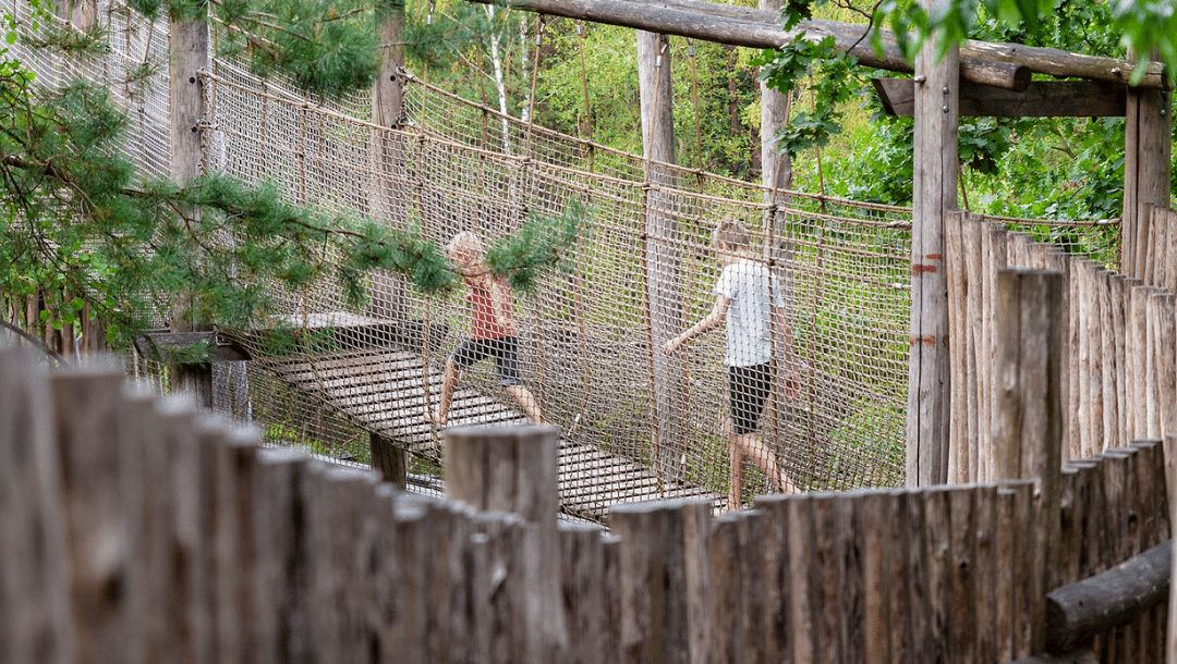 Dit zijn de leukste blotevoetenpaden 🍃
Ga samen op pad met de kinderen en ga op avontuur!
boyslabel.com/10x-de-leukste…