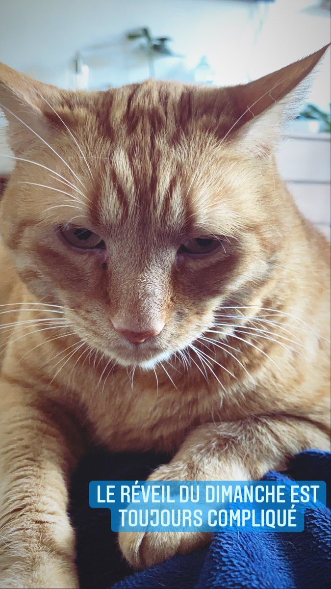 Maxime Riou tweet media