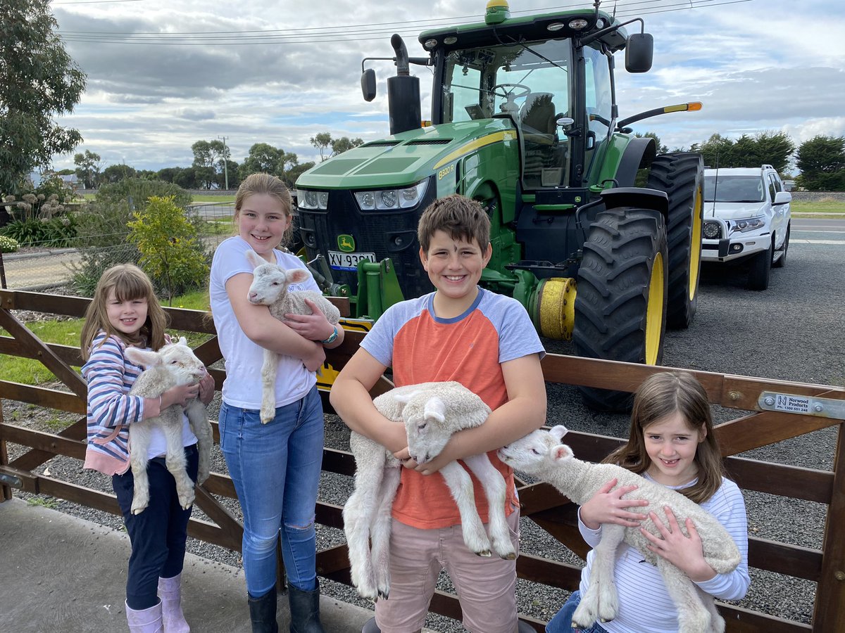 I never liked the idea of pets. Mess, hard to go on holidays, pet food, etc...... but I think I’ve found a winner - short term edible pets! (Don’t tell the kids)