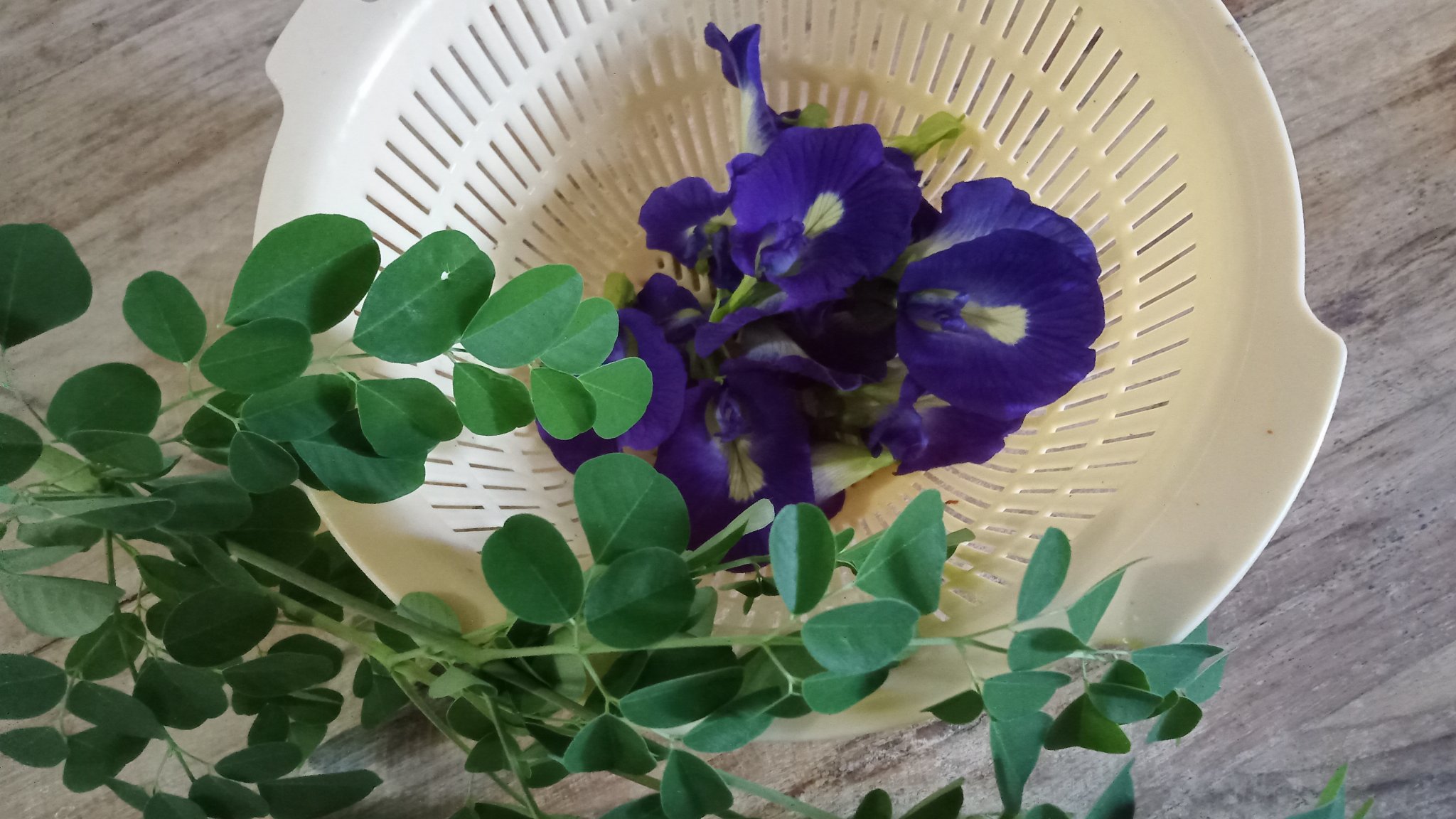 トランブランnao モリンガはスープに入れて食べ バタフライピーの花はアイスティーにして飲みます 免疫力高めとく バリ島 T Co Gfufcnzqgu Twitter