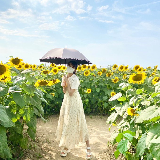 林芽亜里のTwitter画像27