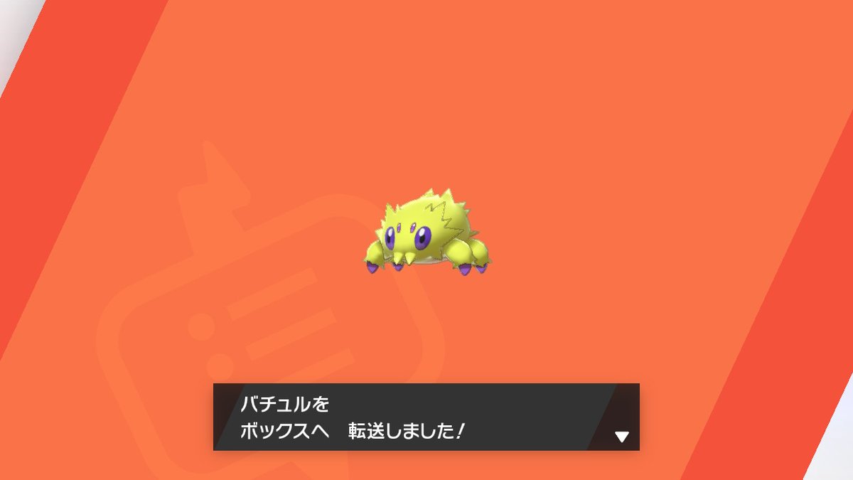 夢向未図 むこうみず ポケモン剣盾 Nintendoswitch バチュルの色違い出たーーー しかもおまもり無し 今回作成した垢は運が良い 可愛いねバチュルちゃん 夢向未図 むこうみず ポケモン剣盾 Nintendoswitch バチュルの色違い出たーーー しかもおまもり無し 今回作成した垢は運が良い 可愛いねバチュルちゃん