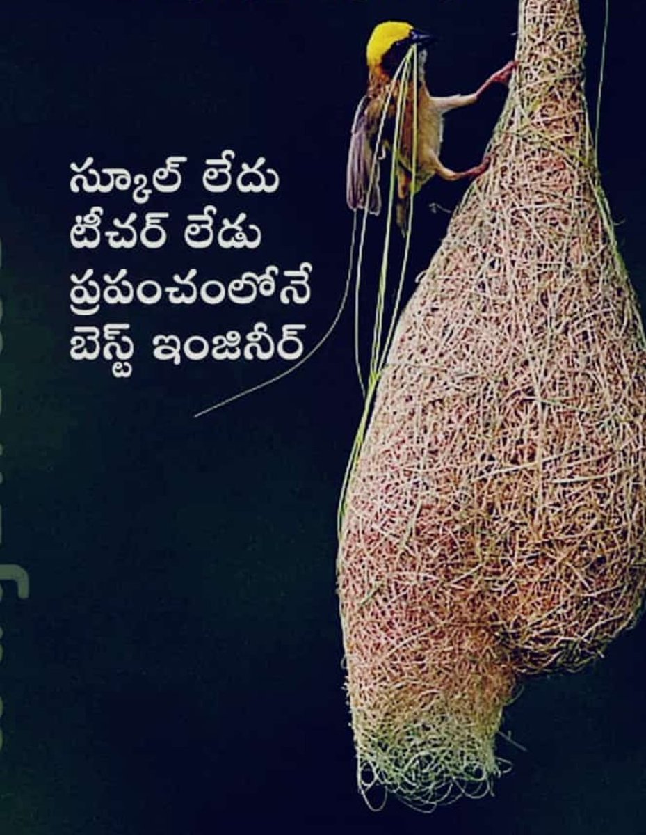 VijayaM45415494's tweet photo. శుభరా3 మిత్రులందరికీ 🙏
#GdNightEveryOne ..❤..... https://t.co/KOaez4MLY3