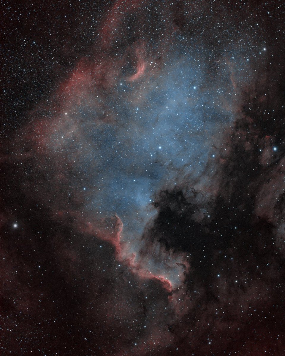 HadoLand's tweet photo. North America Nebula - #ngc7000 . Short little #astrophotography session from the other night. 

AT72ED w/ ATR8 reducer, Astro modded Canon 1000D w/ Optolong L-Enhance filter on Skywatcher AZ-GTI mount. 24x 300s, ISO 800. Processed in Siril, Starnet++ &amp; PS. https://t.co/MFPmbNZWZr