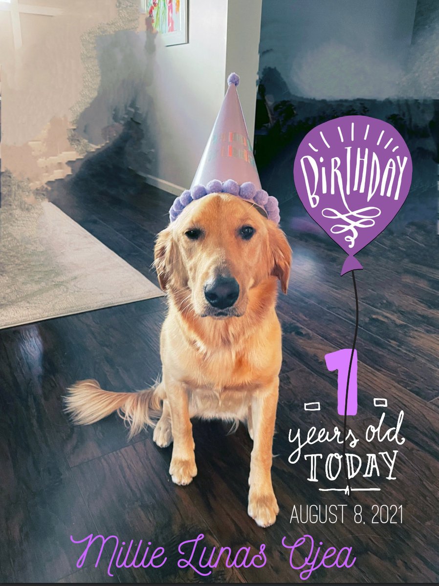 Wishing our little fur-baby a Happy 1st… #MyMomMadeMeWearThisHat
