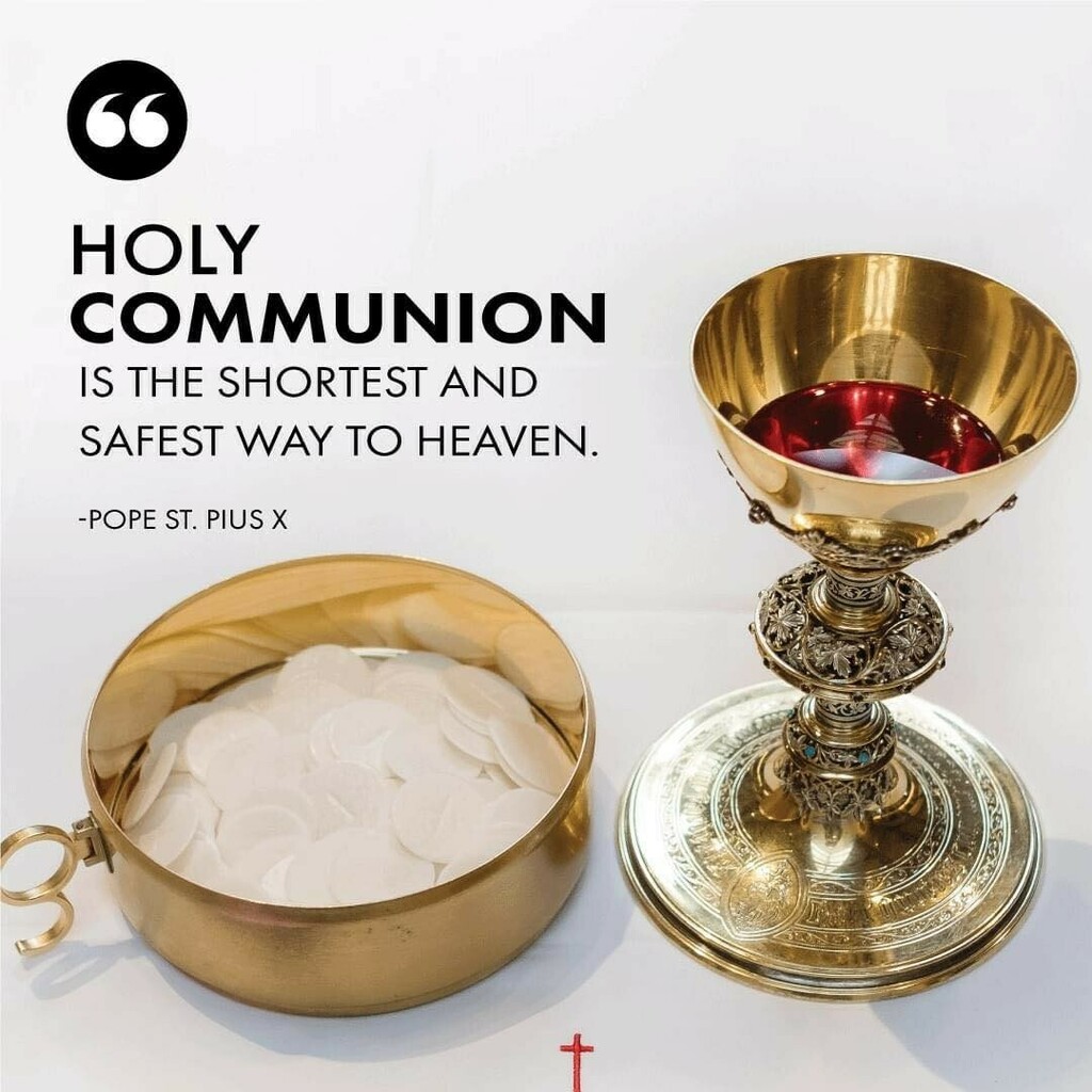 boydspace's tweet image. “I am the bread of life. Your ancestors ate the manna in the desert, but they died; this is the bread that comes down from heaven so that one may eat it and not die.” John 6:48-50 #Gospel instagr.am/p/CSUVYZKtaAr/