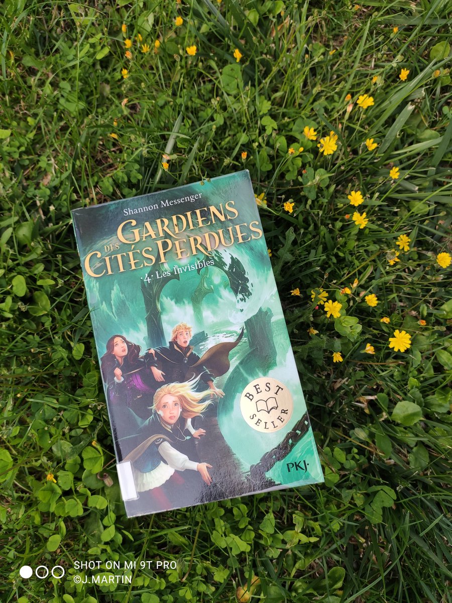 JMartin49350's tweet photo. Lectures de la semaine 2/2, "Les Invisibles" 4ème tome de la formidable saga de @SW_Messenger. C'est avec enthousiasme que j'ai retrouvé Sophie et ses acolytes pour de nouvelles aventures! Nouveauté à retrouver à la rentrée au @CdiGBraque @0950666h #Profdocenvacances #Pageturner https://t.co/bnMplz4j7f