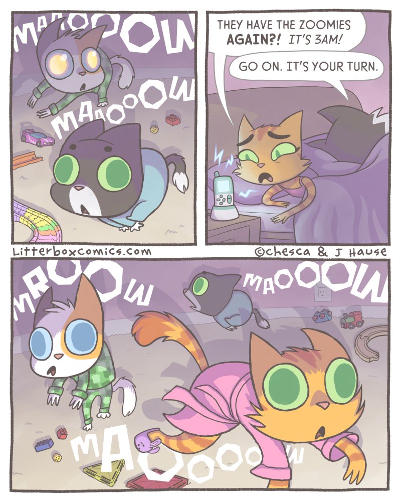 LitterboxComics's tweet photo. Happy #InternationalCatDay! 😺 Here are some feliney comics to celebrate! 😻 https://t.co/efheDMtLlG