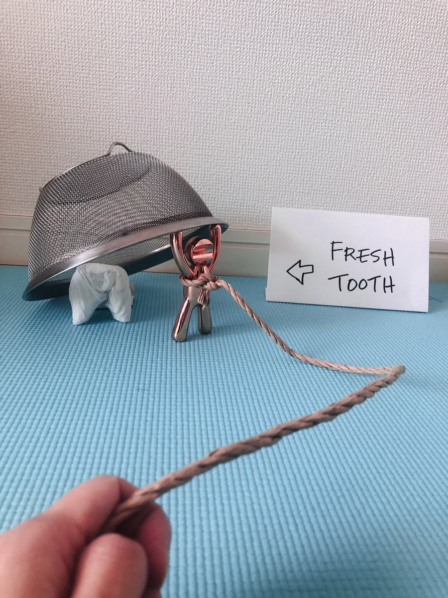 MarnieGodzilla's tweet photo. #item63 #GISH2021 tooth fairy trap
Freshly arrived old tooth https://t.co/lDxWB4XEt1