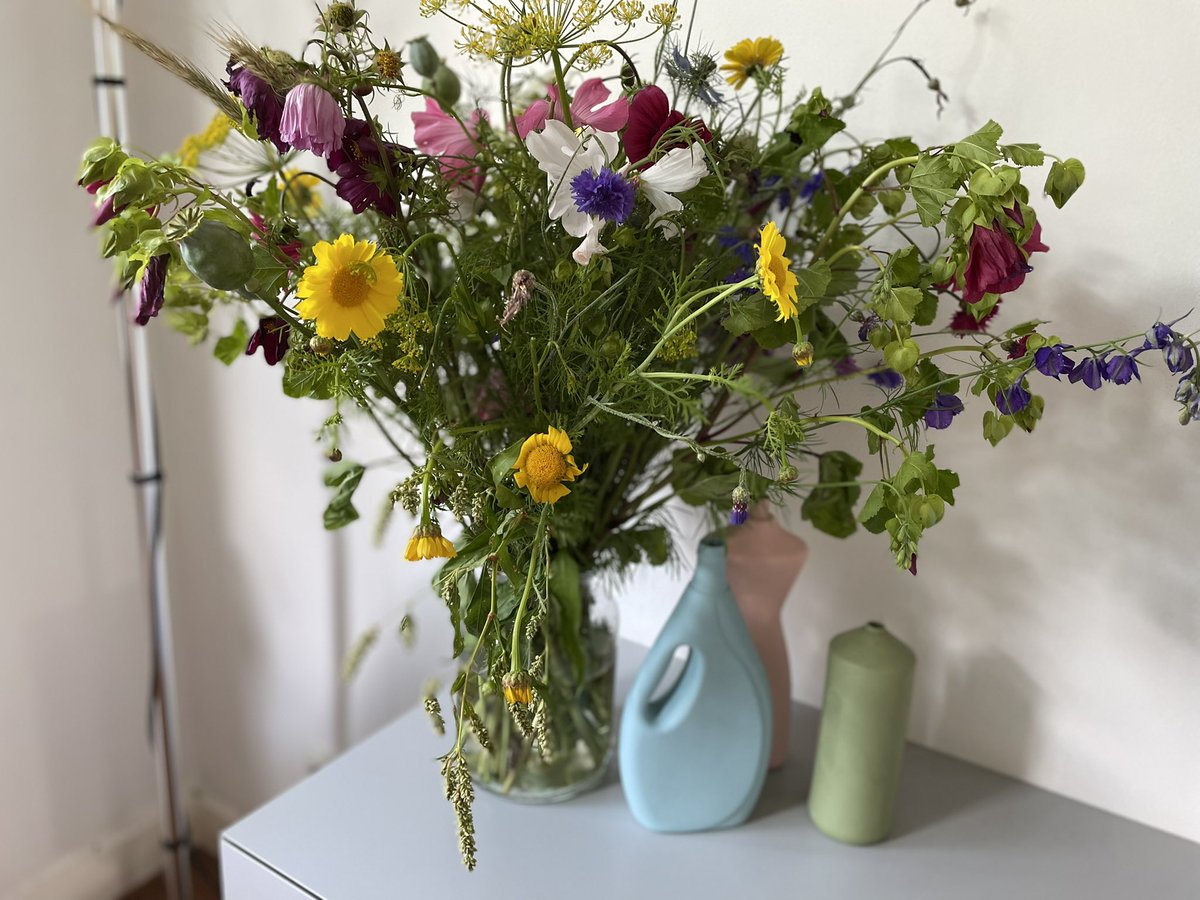 Plukgeluk #rotary #oldehove