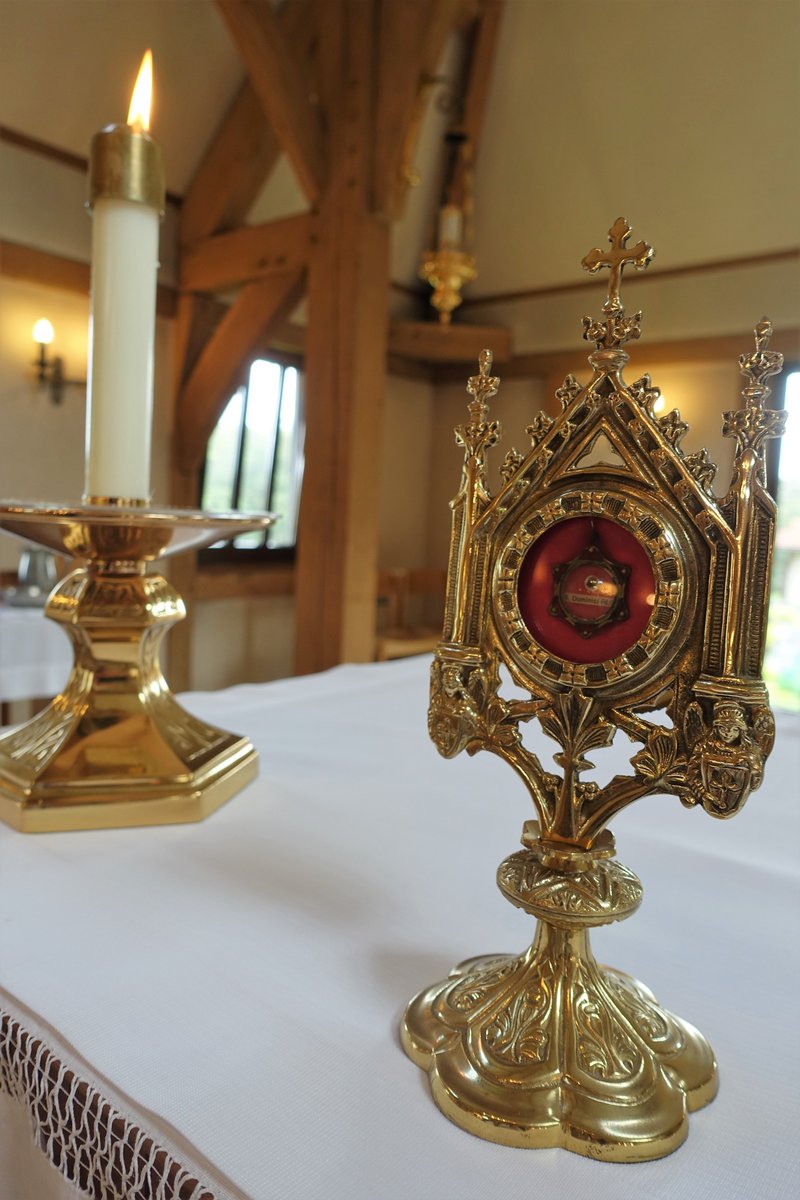 DomSrStJoseph's tweet image. Celebrating mass for St Dominic's day 😇
#stdominic #feastofstdominic #oppower #solemnityofstdominic #mass #catholic #chapel #relic