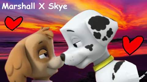 paw patrol marshall skye