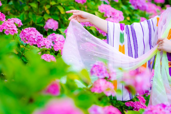 コスプレイヤーまるすけのTwitter画像27