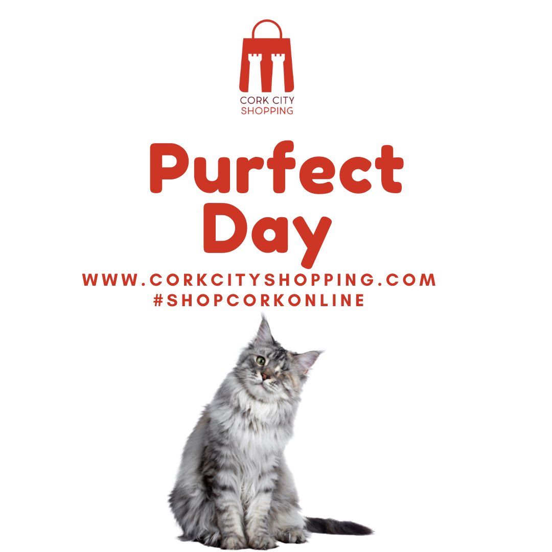 Happy #InternationalCatDay to all of our cat lovers out there. 

#ShopCorkOnline through our website and make it a #PurfectDay for them with a little treat from one of Cork’s favourite pet shops. 

#ShopCorkOnline #CorkCityShopping #InternationalCatDay #PurfectDay #SupportLocal