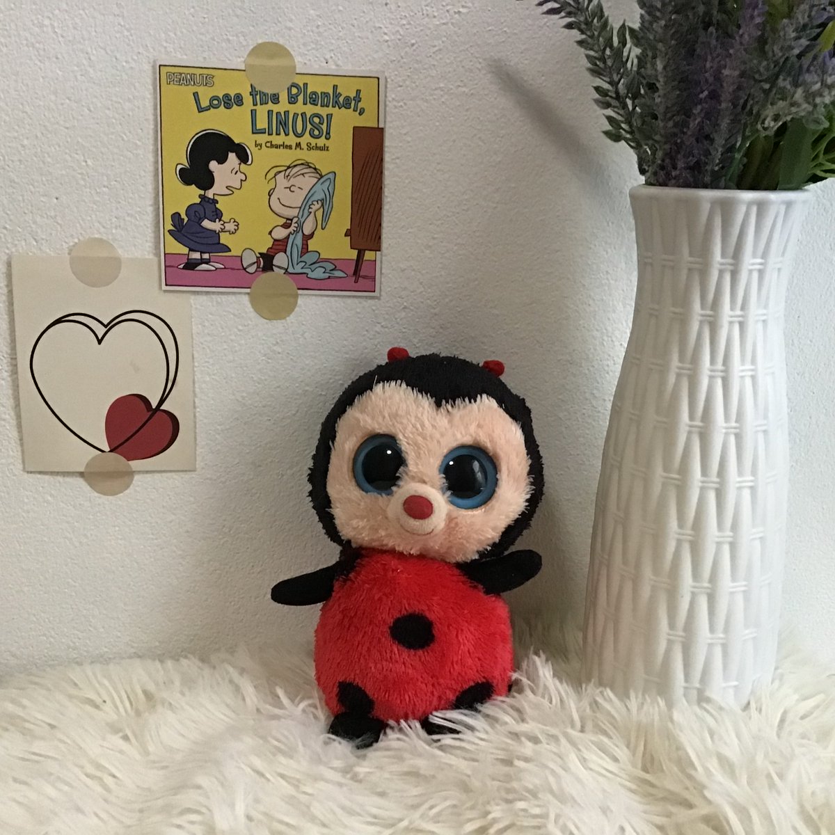 ✿ 𝕗𝕝𝕦𝕗𝕥𝕪 𝕕♡𝕝𝕝 🧸˚ tweet media