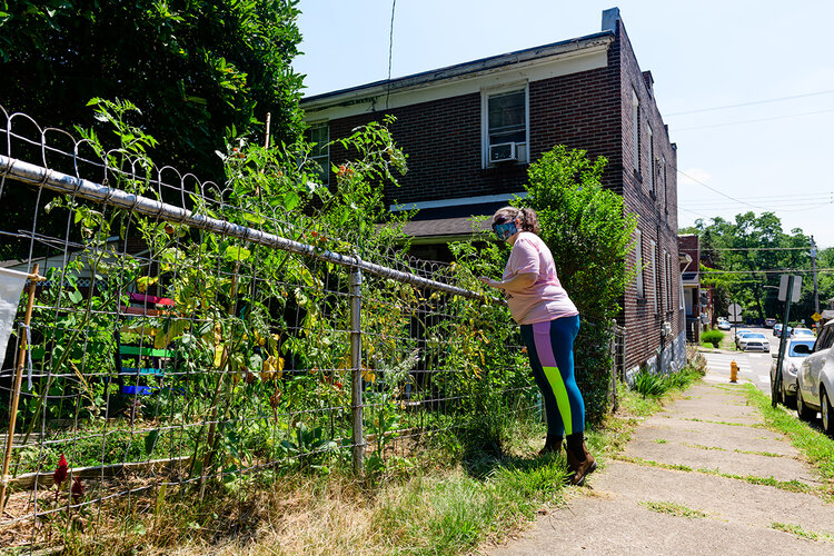 SwissvaleYinz tweet media