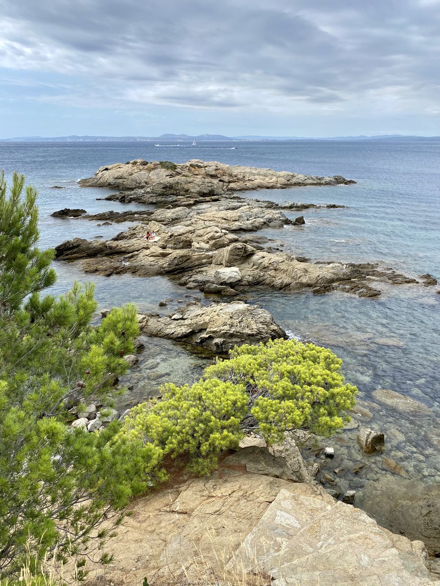 e_cod's tweet image. Buscant rutines 😍