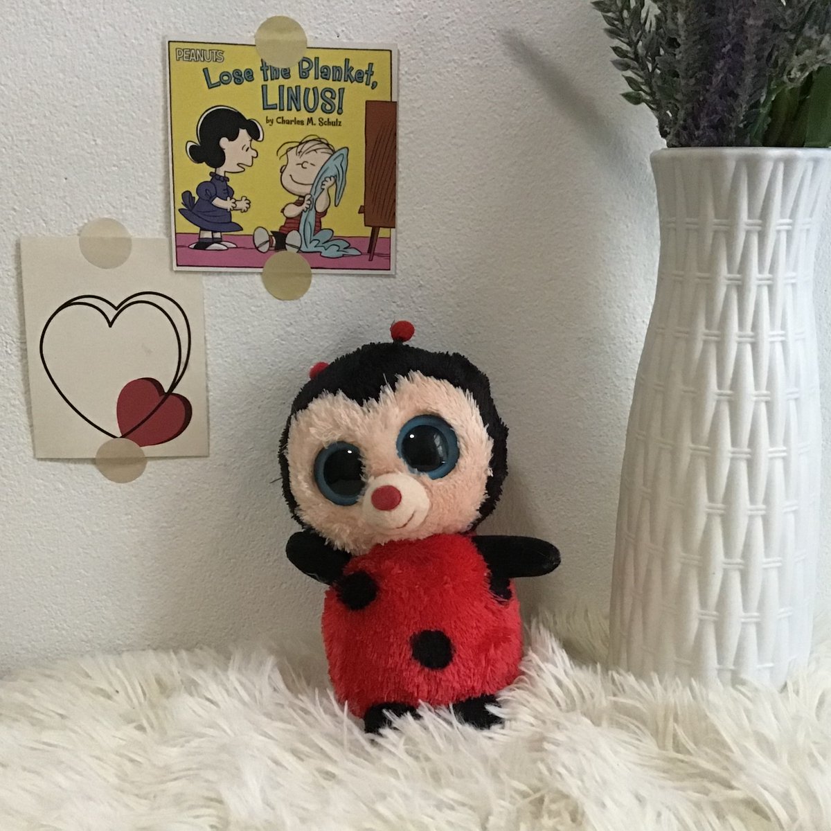 ✿ 𝕗𝕝𝕦𝕗𝕥𝕪 𝕕♡𝕝𝕝 🧸˚ tweet media