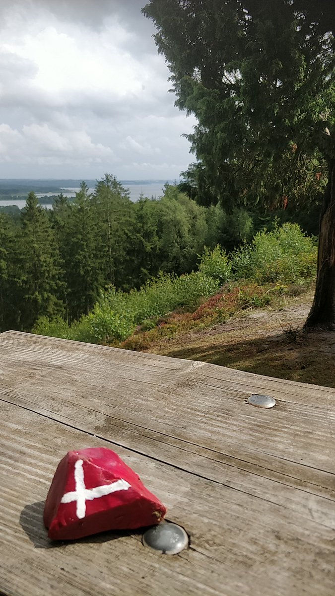GDaviesDK's tweet photo. After 2 attempts due to heavy rain I finally managed to find the find a stone at "Sukkertop" Denmark. 😁 @TronNetworkShop @TuruGlobal @CotiMerchstore https://t.co/0uVDVIShMD