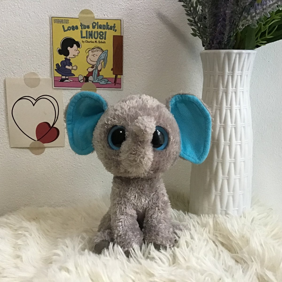 ✿ 𝕗𝕝𝕦𝕗𝕥𝕪 𝕕♡𝕝𝕝 🧸˚ tweet media