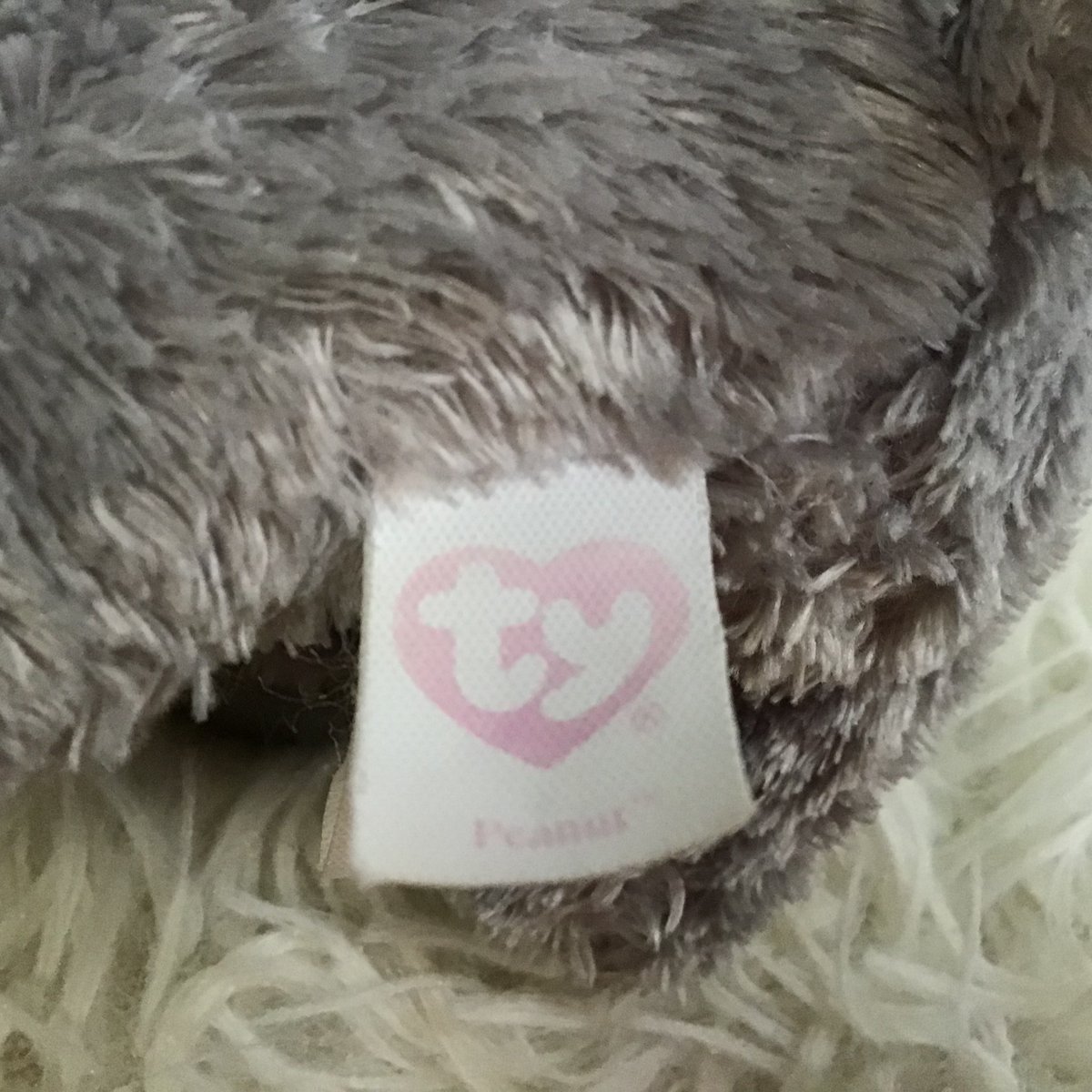 ✿ 𝕗𝕝𝕦𝕗𝕥𝕪 𝕕♡𝕝𝕝 🧸˚ tweet media