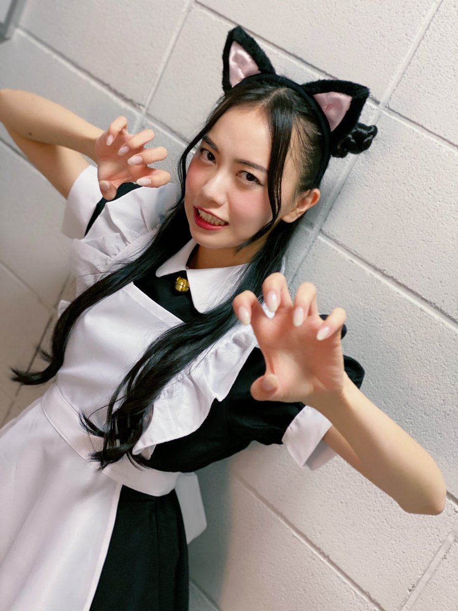 akaritter0113's tweet image. #世界猫の日 らしいにゃん。
長らくお待たせしたにゃんだが、もう少しで皆様の元に『#ながぐつをはいたねこ』をお届けできるにゃん。
配信用の編集が凄いことになってるにゃん。
楽しみに待っててにゃーん。
にゃーん🐈
#柿こども演劇