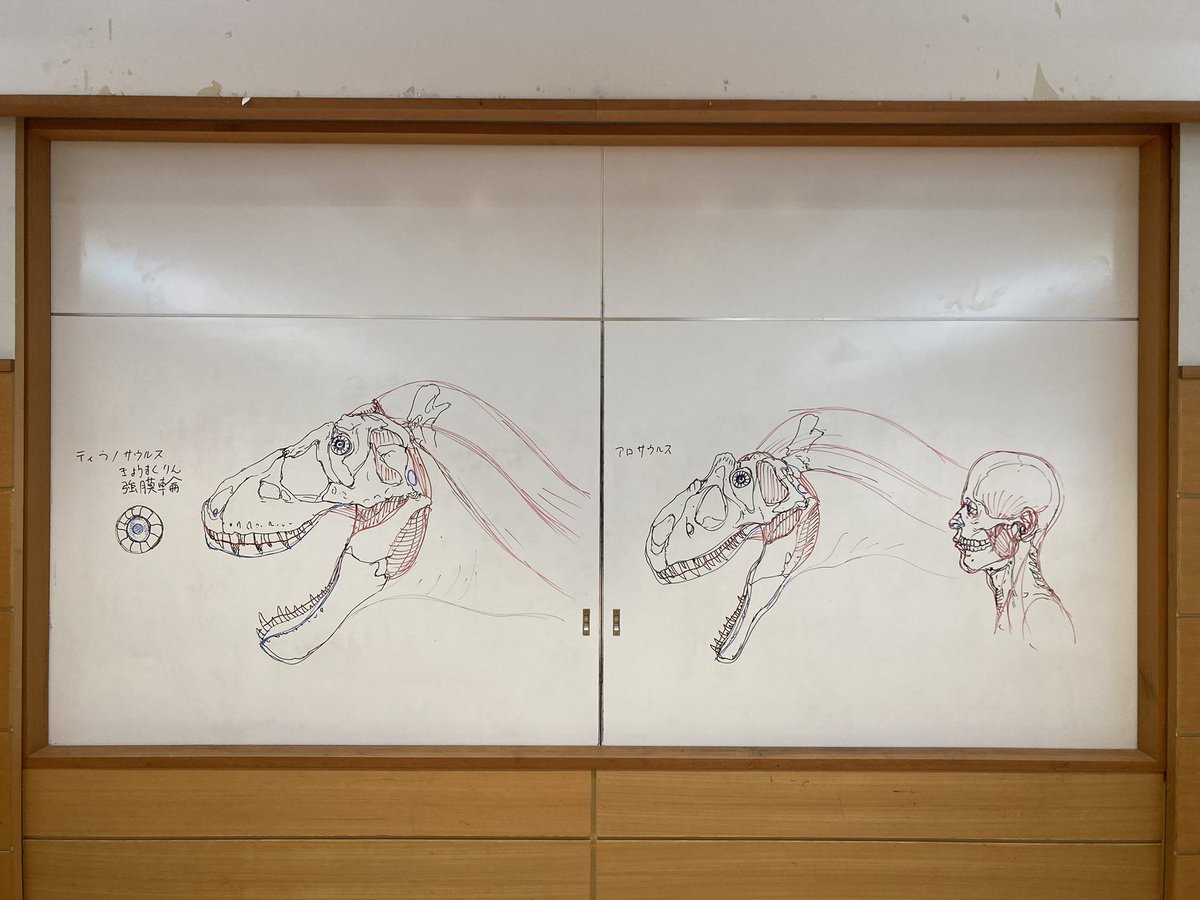 今日の丹波市にあるちーたんの館で開催したワークショップは無事終了しました。
https://t.co/E9gThNxqsm
デモで描いたアロサウルスと板書の画像です。 