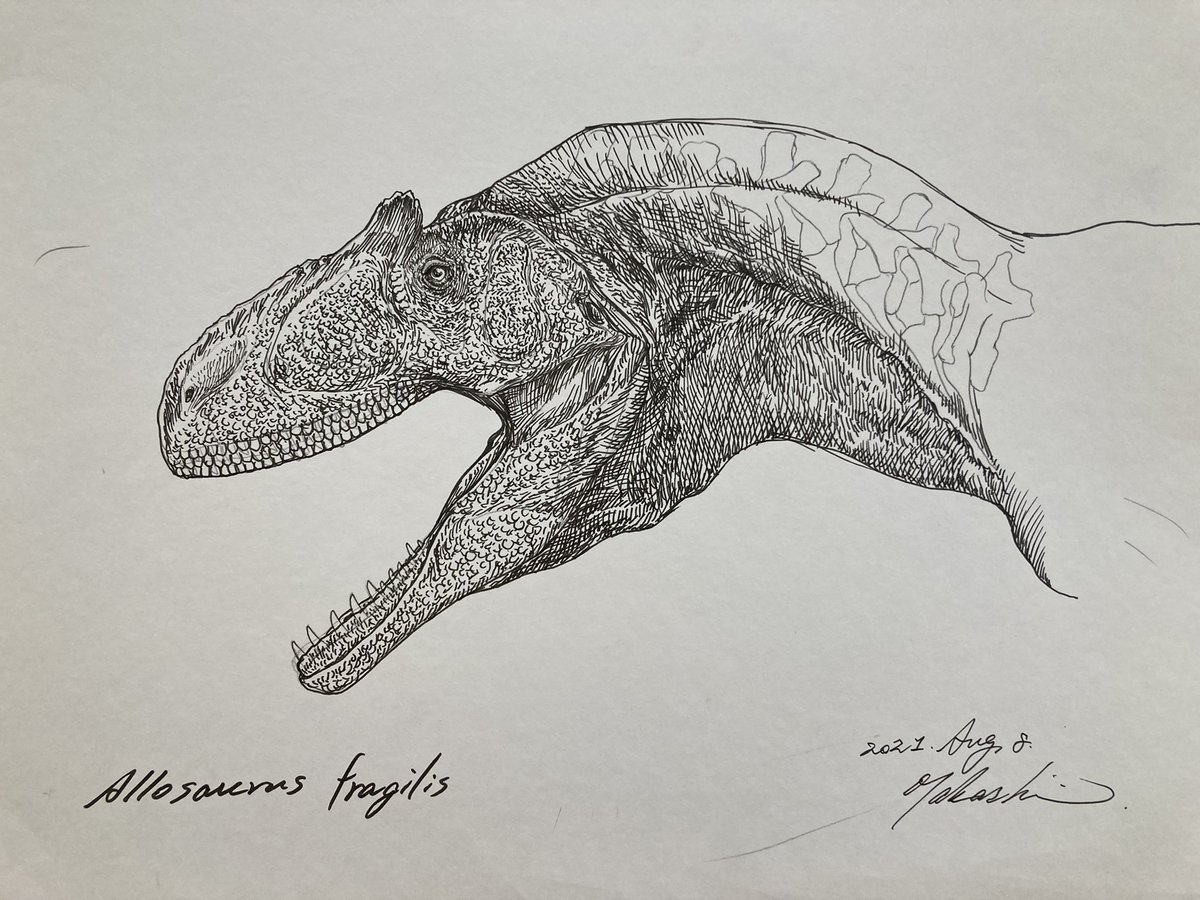 今日の丹波市にあるちーたんの館で開催したワークショップは無事終了しました。
https://t.co/E9gThNxqsm
デモで描いたアロサウルスと板書の画像です。 