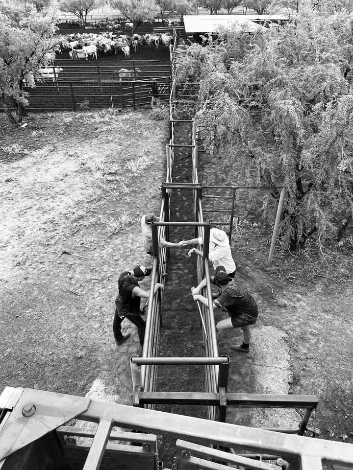 This is one of my favourite photos. A 90 deck lift from the West Kimberley to Northern Territory in January had us sweating. As the last truck pulled onto the bitumen the sky opened up ... just made it. ⁦<a href="/S_M_Bowman/">Scott Bowman</a>⁩