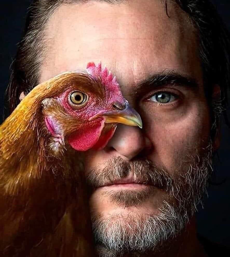 mariacastro1111's tweet photo. Joaquín Phoenix https://t.co/p43gjdC2ZY
