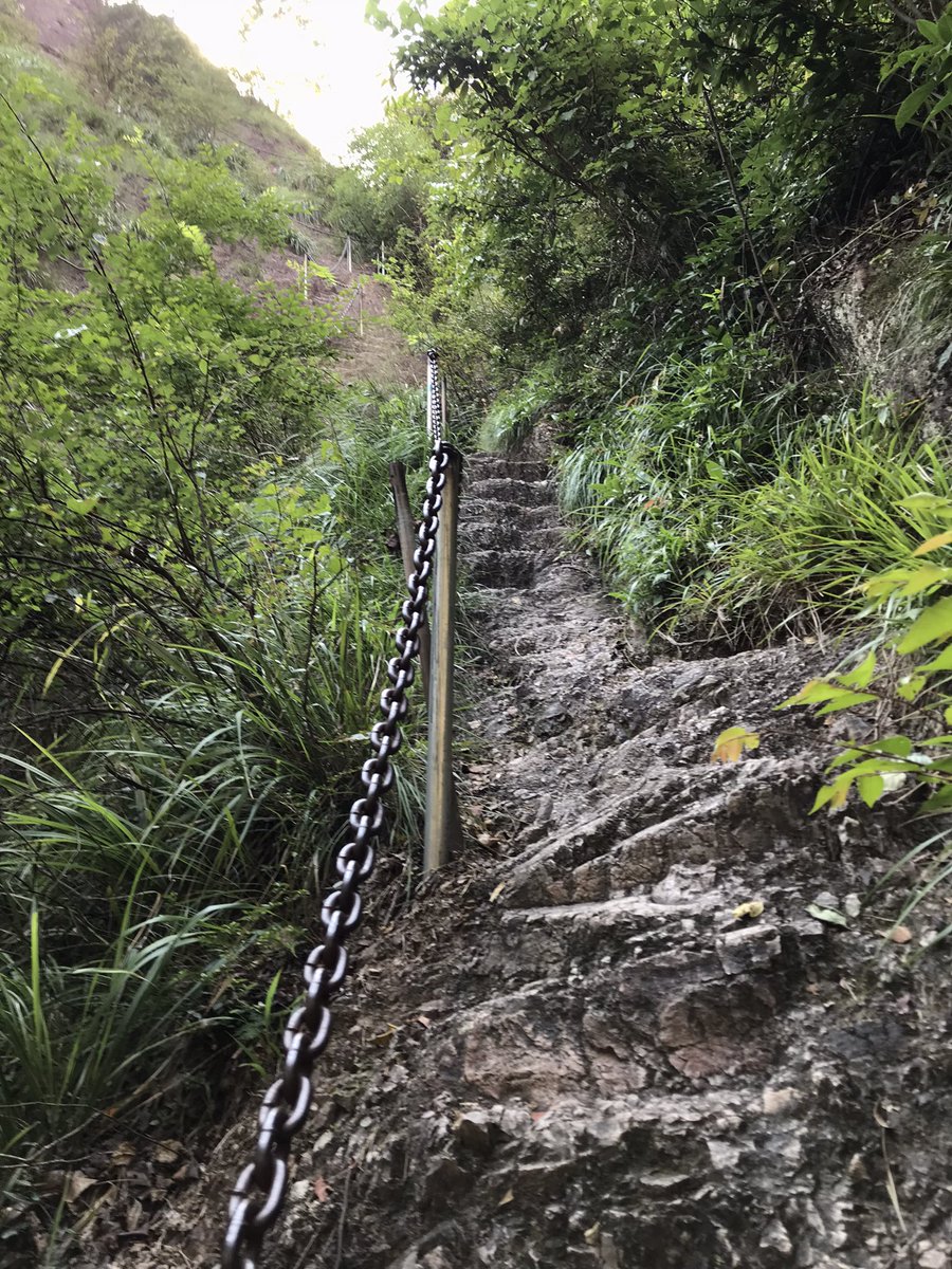 Samuel Zhou tweet media