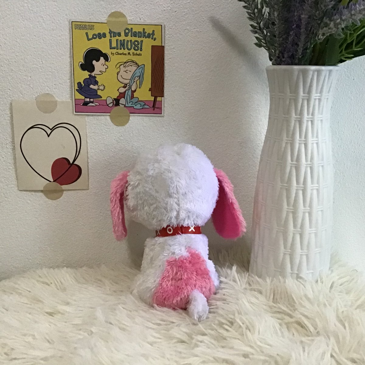 ✿ 𝕗𝕝𝕦𝕗𝕥𝕪 𝕕♡𝕝𝕝 🧸˚ tweet media