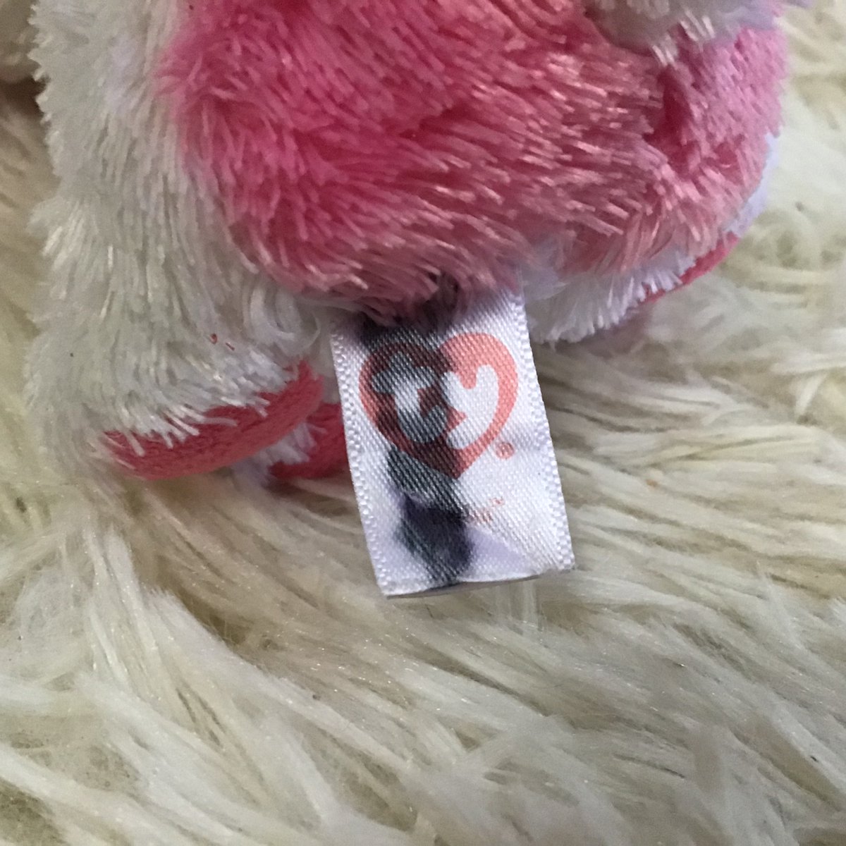 ✿ 𝕗𝕝𝕦𝕗𝕥𝕪 𝕕♡𝕝𝕝 🧸˚ tweet media
