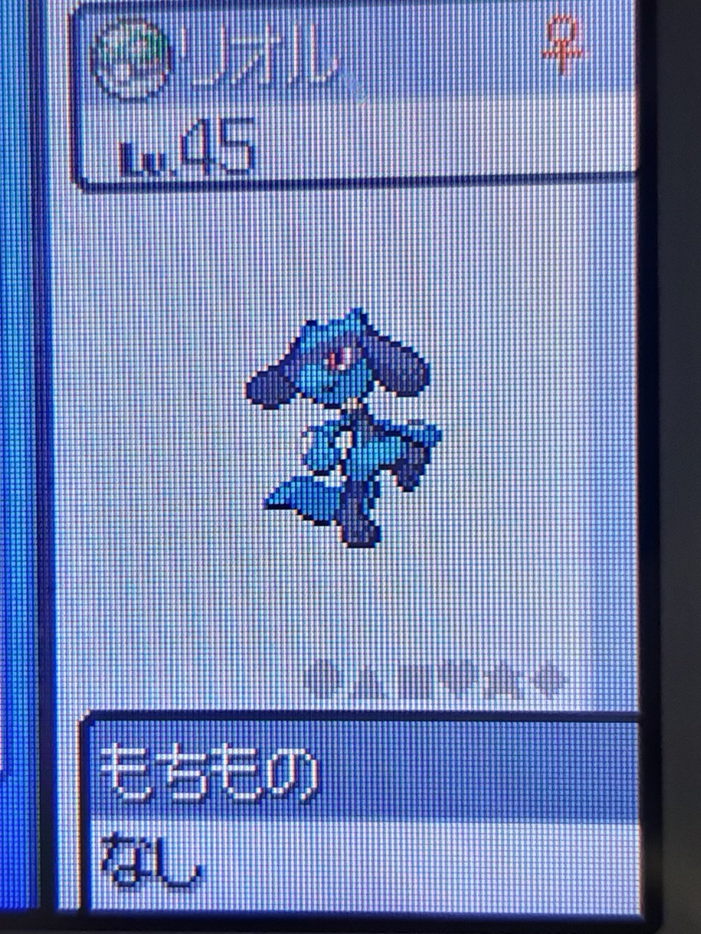 すこあ りざると とりあえずなんでもサファボに入れておけば困らない説w 輸送してボール遺伝で厳選する ポケモン オシャボ Hgss T Co Toobpxffou Twitter