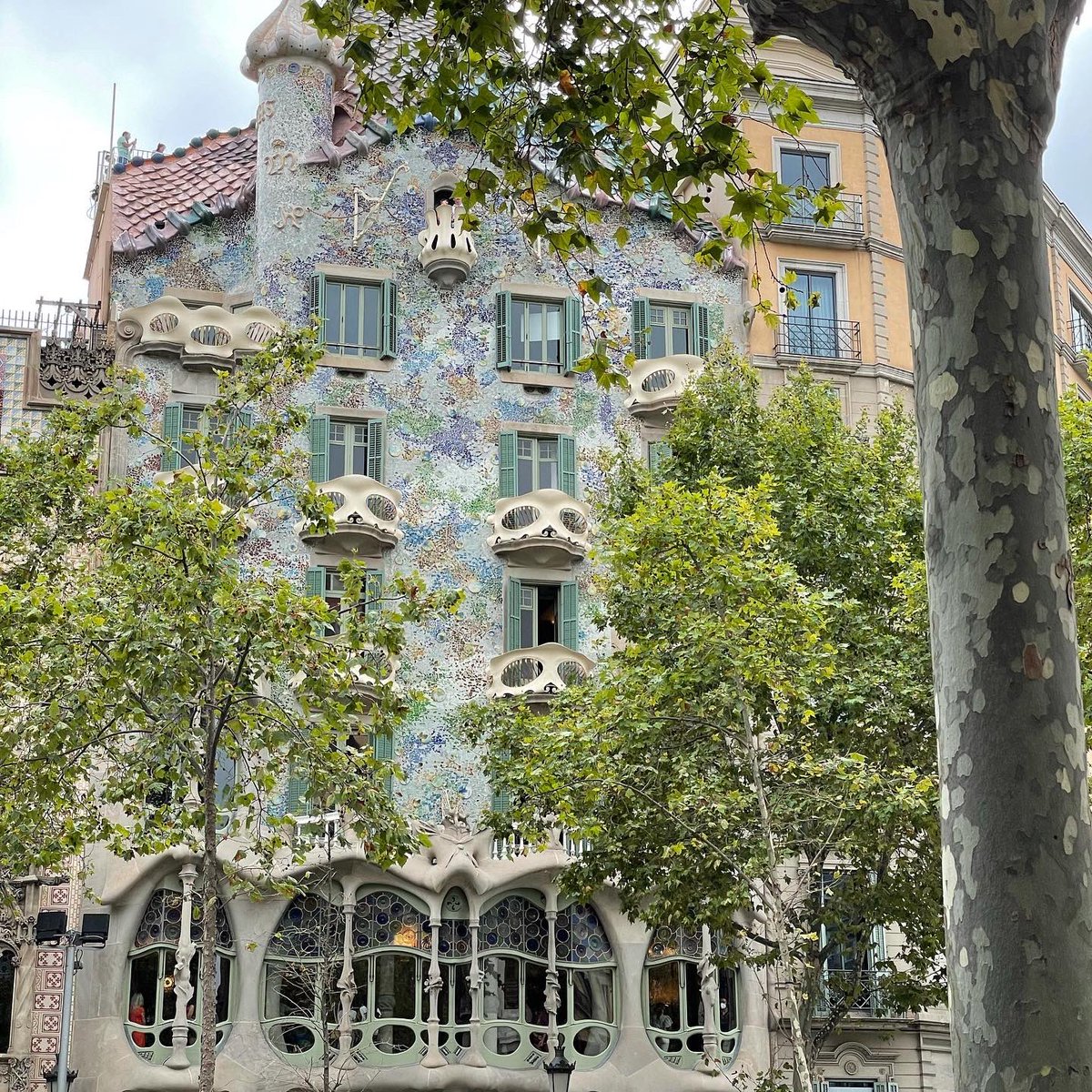 laiamuse's tweet photo. Ruta en #bicicletacarretera per #barcelona 40km passant per #hospitaldelasantacreuisantpau #sagradafamilia #torreagbar #badalona #montgat #santadriadebesos #portforum #barceloneta #portolimpic #ciutadella #arcdetriomf #casabatllo #lapedrera  #cicloturisme  #cyclingbarcelona https://t.co/ZpnUcBWa7u