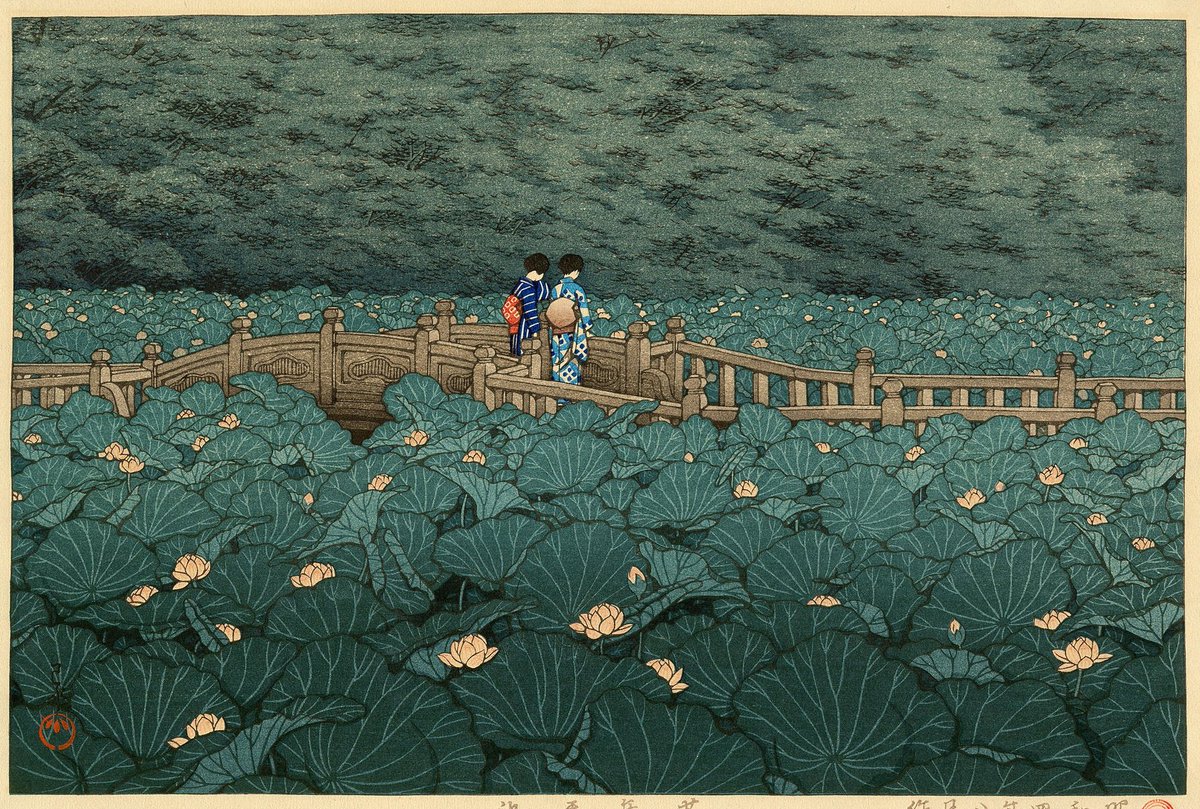 curious ordinary tweet media