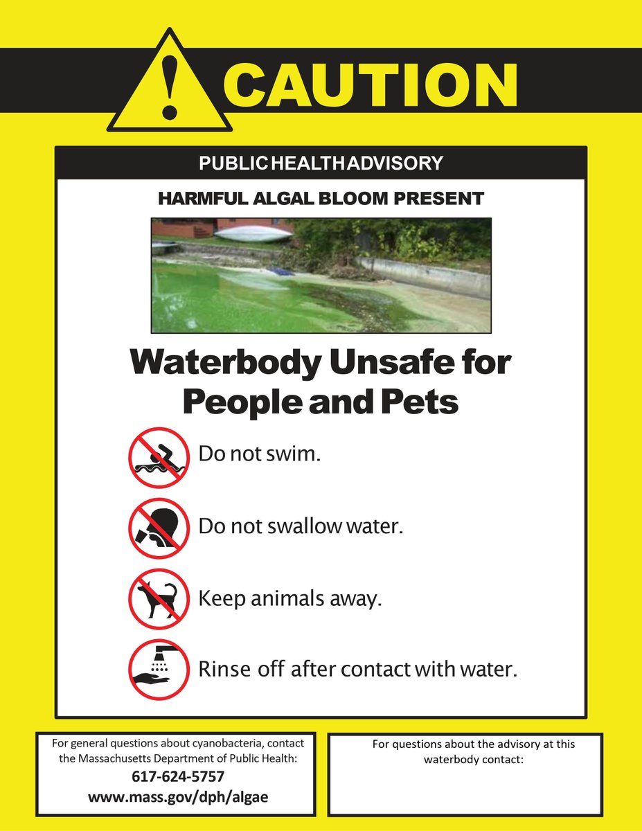 HealthyBoston's tweet image. Jamaica Pond is closed to water activities due to a suspected bloom of blue-green algae, also known as cyanobacteria. Park visitors cannot:
🚫Swim, fish, boat, engage in other activities on/in the water
🚫Allow dogs to swim in/or drink the water
FMI: ow.ly/wgpQ50FHyTv