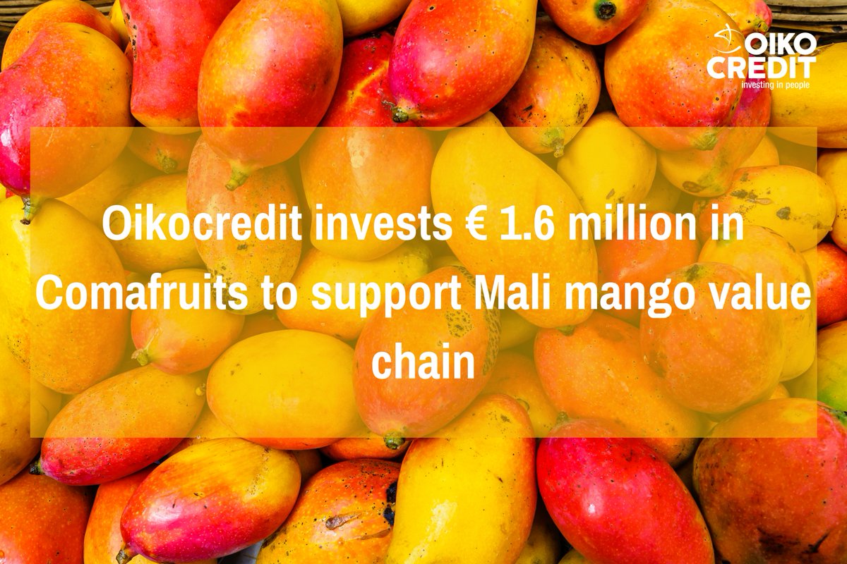 Oikocredit's tweet photo. “With this loan, we will be able to provide much-needed funds to more farmers and support better employment in the region.” Read about our new partnership with Comafruits [press release]: https://t.co/sn1dZGDwv6
#impinv https://t.co/RUk6Zo1iHo