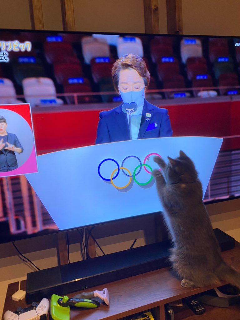 東京五輪の閉会式では大事なシーンに 蛾 が みんなの反応 猫がテレビに反応 娘が画面を触りに行きました Togetter